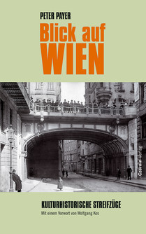 Blick auf Wien (Kulturhistorische Streifzüge)